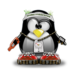 penguin pingouin pinguino 154